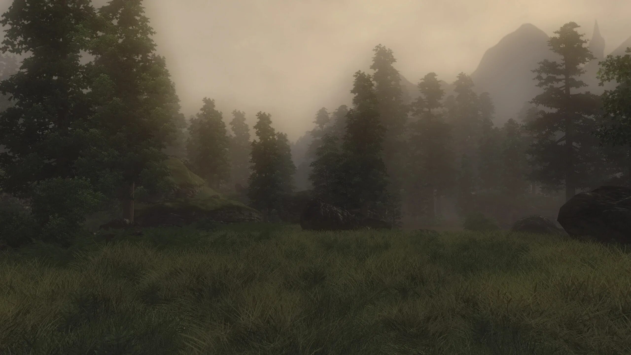 Мод from the fog 1.16 5. Volumetric fog. мод на туман. мод на туманный лес. мод на туман fallout 4.