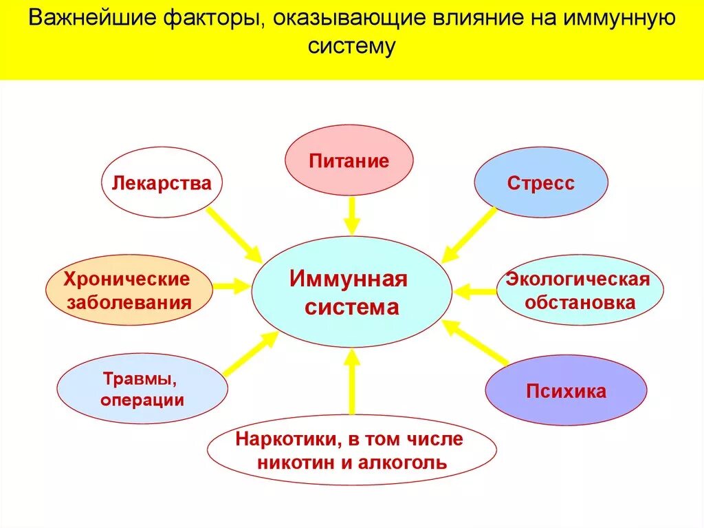 Факторы влияющие на иммунную систему. Факторы влияющие на иммунитет схема. Факторы влияющие на иммунитет биология 8 класс. Факторы, влияющие на состояние иммунной системы.