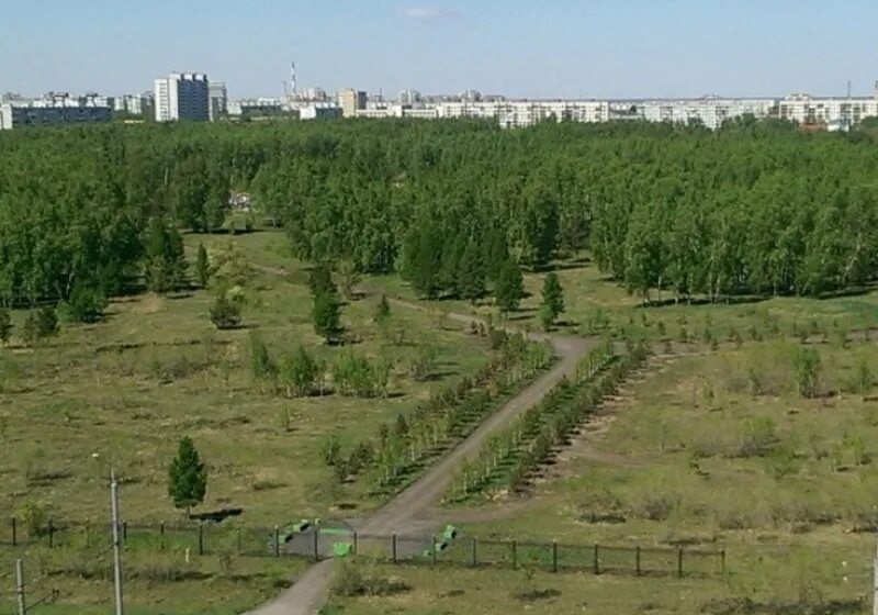 Мэр пригласил бизнесменов поучаствовать в развитии парка 300-летия Омска - Вечер