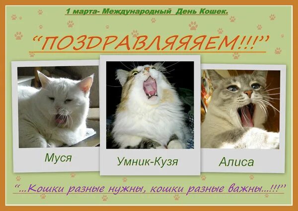 Посвящается кошке лизе картинки. День кошек. день кошек картинки. поздравление с международным днем кошек.