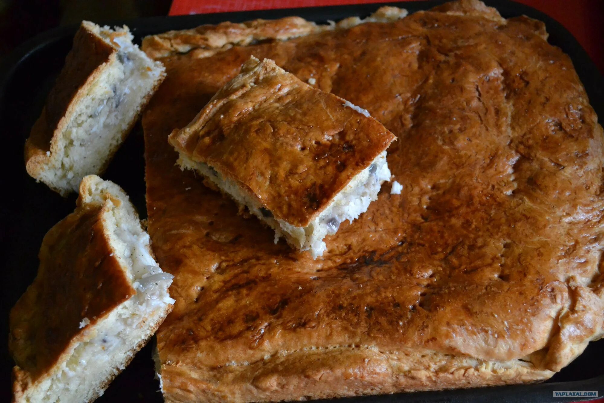 Пирог с палтусом в духовке. Пироги с палтусом. Пирог из палтуса. Вкуснейший пирог с палтусом. Рыбник с палтусом.