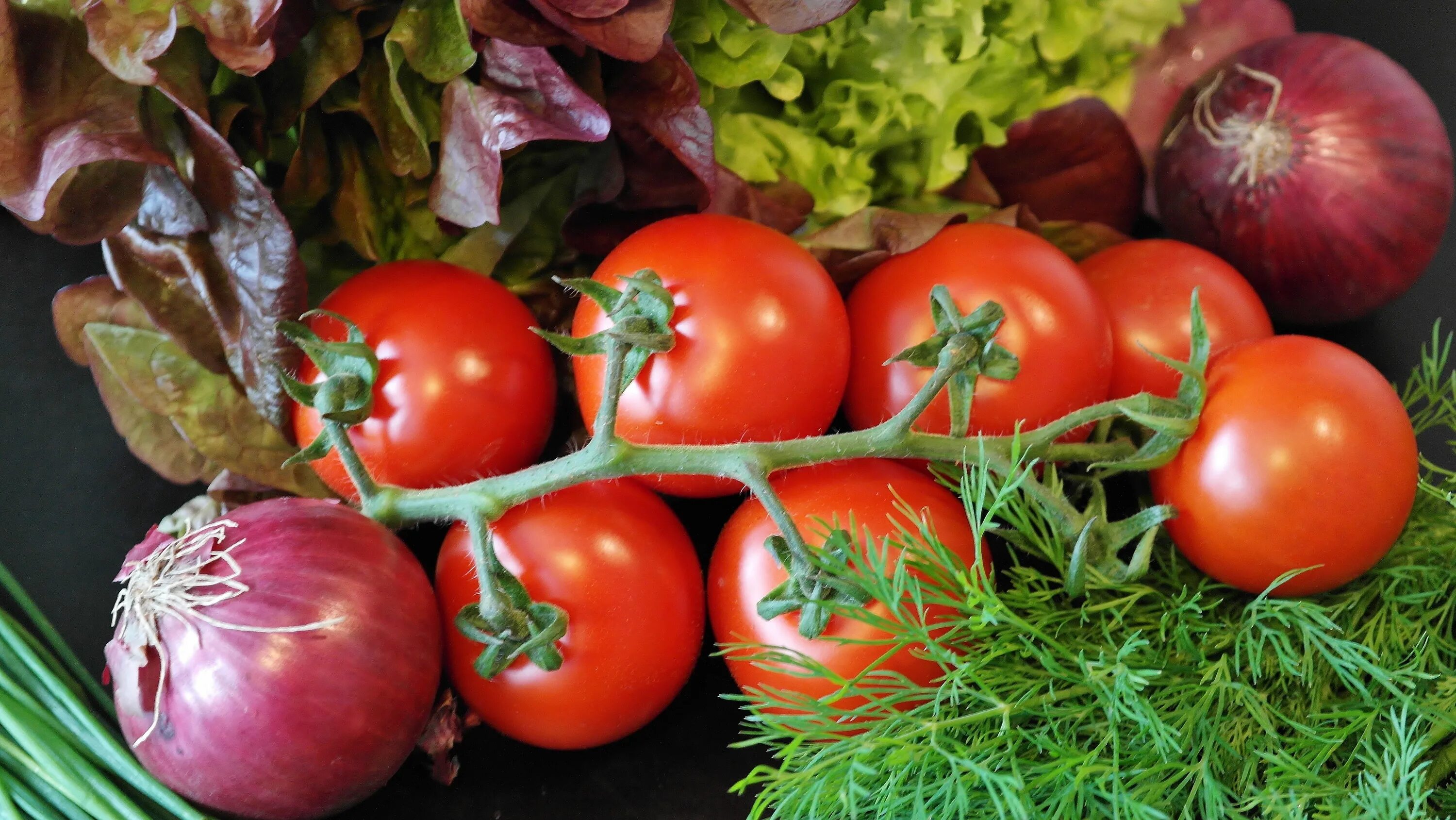 Tomato and onion and