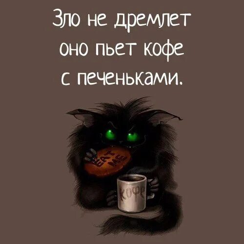 Злое утро картинки прикольные Pin by ZLATKA PETROVA on Coffee time Morning quotes funny, Funny good morning qu