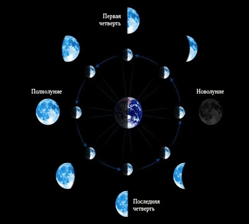 луна цикл. лунный цикл рисунок. рост луны. луна цикл. цикл лунных фаз.