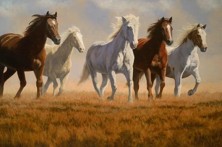 Картины лошадей фото Joyful foals Jacqueline Stanhope Horse painting, Horse drawings, Watercolor hors