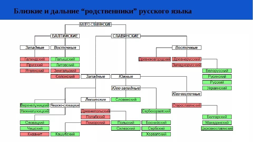 Кто считается ближайшим родственником по закону. Родственные связи языков. Языки родственные русскому. Родство с русским языком. Родственные отношения в русском языке.