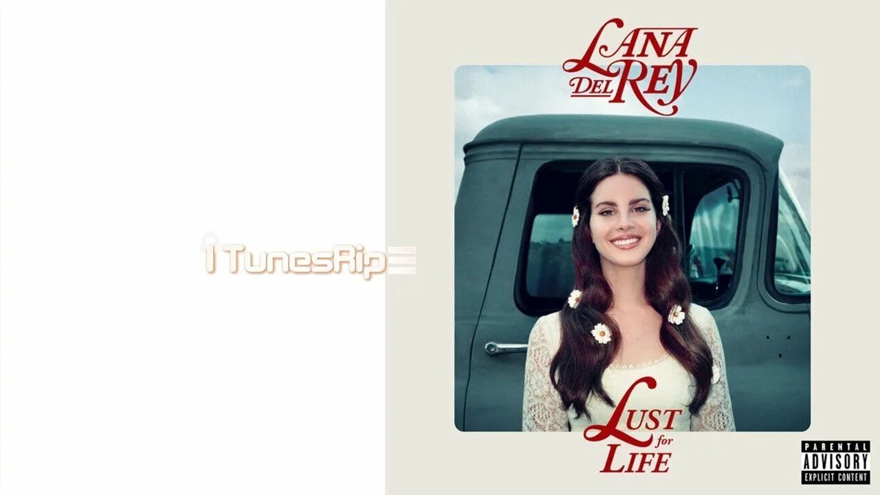 Lust for Life (2017).