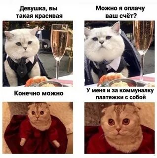 Вы заплатите всем что имеете 39