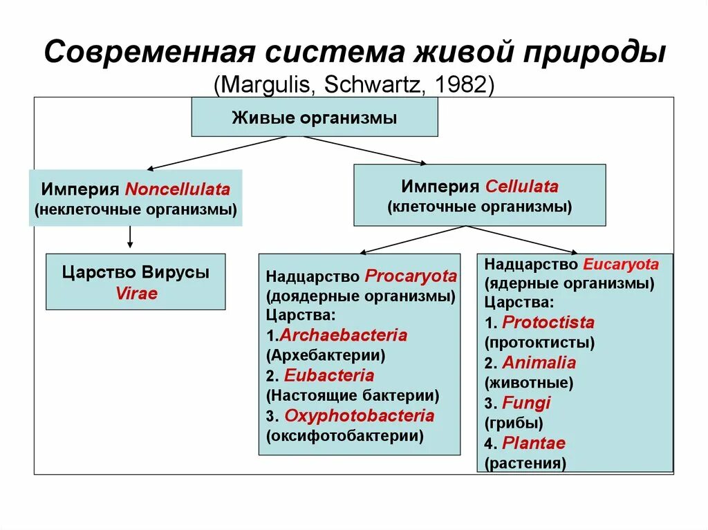 Году будучи систем современных. Современная система живой природы. Систематика живой природы. Систематика Царств живой природы. Современная систематика живых организмов.