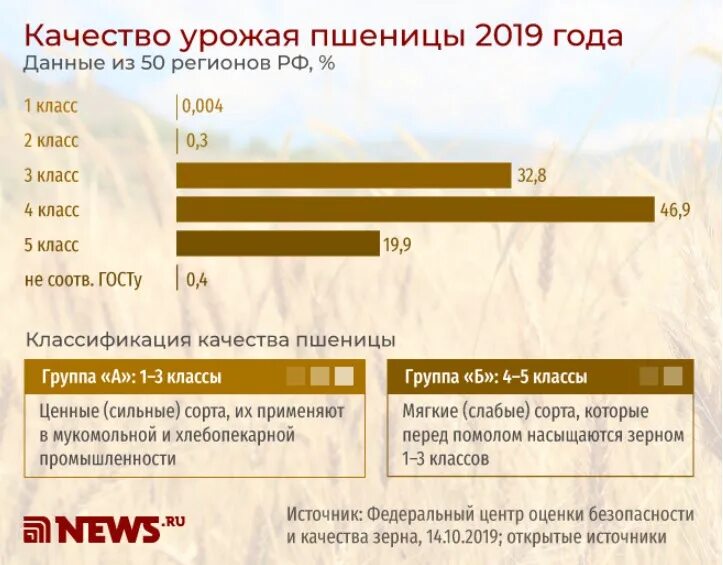 Качество зерна в россии. Классы качества пшеницы. Оценка качества кормовой пшеницы. Классы зерна в России. Качество пшеницы в России.