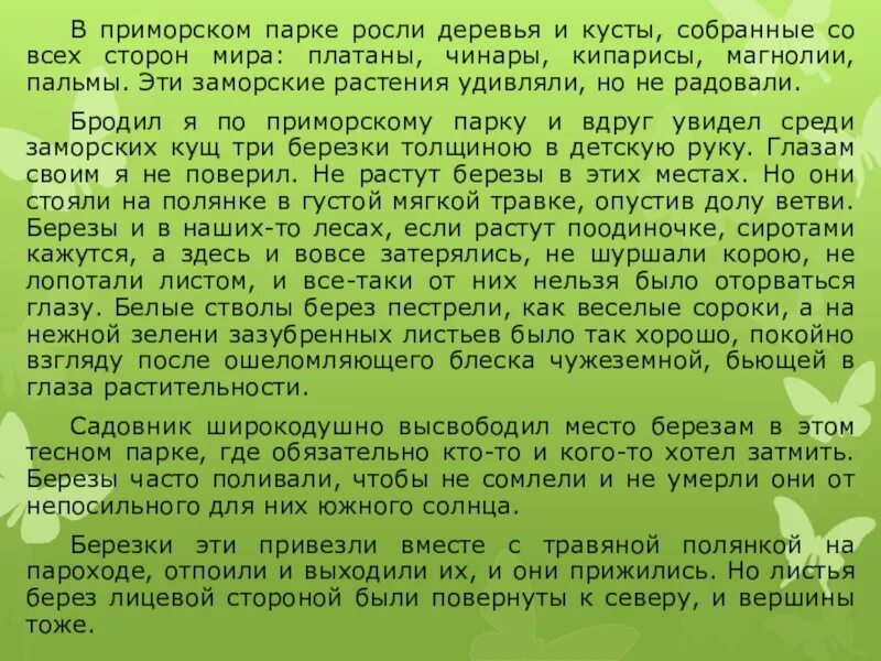 В Приморском парке росли деревья и кусты. Астафьев Березки изложение. Изложение родные березы. Изложение берёзы в Приморье. Родные березки изложение