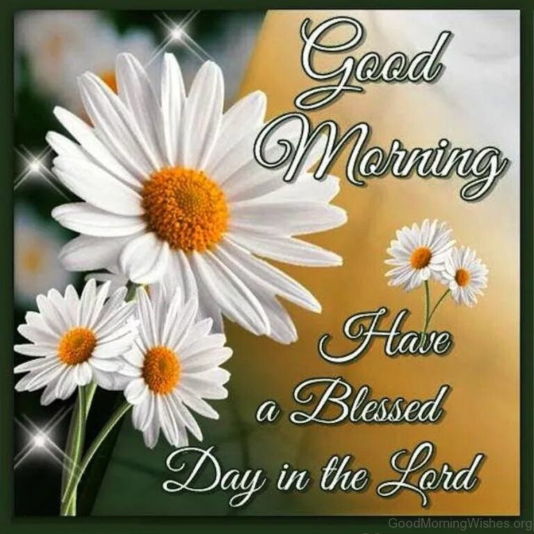 Today is wonderful day. Открытки good morning. открытки good morning have a good day. good morning have a good day. good morning have a beautiful day.
