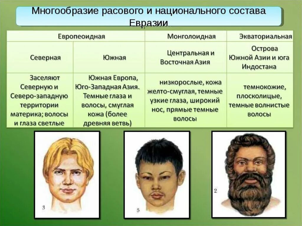 Признаки расы европеоидная монголоидная негроидная. Население Евразии 7 класс география. Люди разных рас. Расы людей. Расы и народы Евразии.