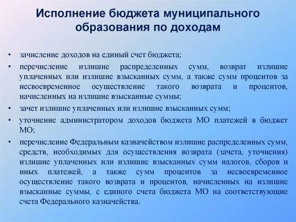 Заключение бюджетного муниципального образования
