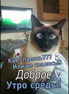 Доброе как спалось
