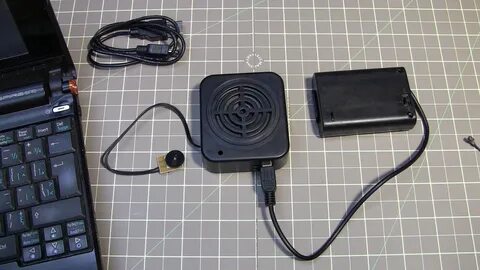 Device voice