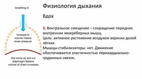 Тест через дыхание