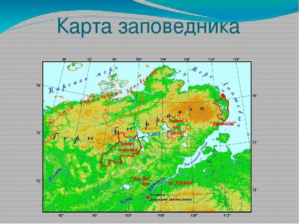 где таймырский заповедник. доклад про таймырский заповедник 4 класс окружающий мир. таймырный заповедник на карте. территория таймырского заповедника на карте. таймырский заповедник на карте россии.
