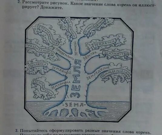 Дерево с однокоренными словами. Цепочка однокоренных слов. Составить цепочку однокоренных слов. Семейное дерево с однокоренными словами.