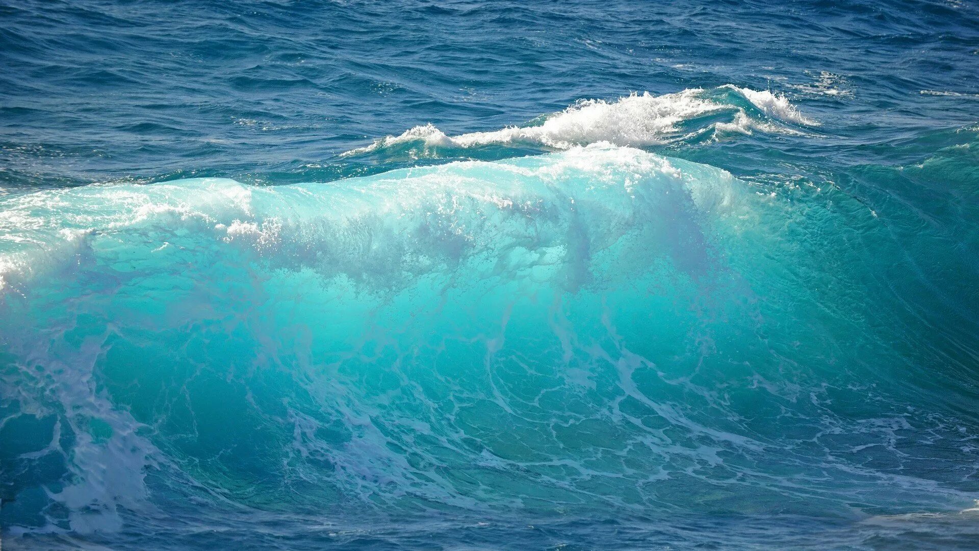 Воды тихого океана