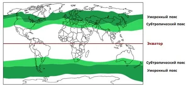 Пояса земли тропики субтропики.