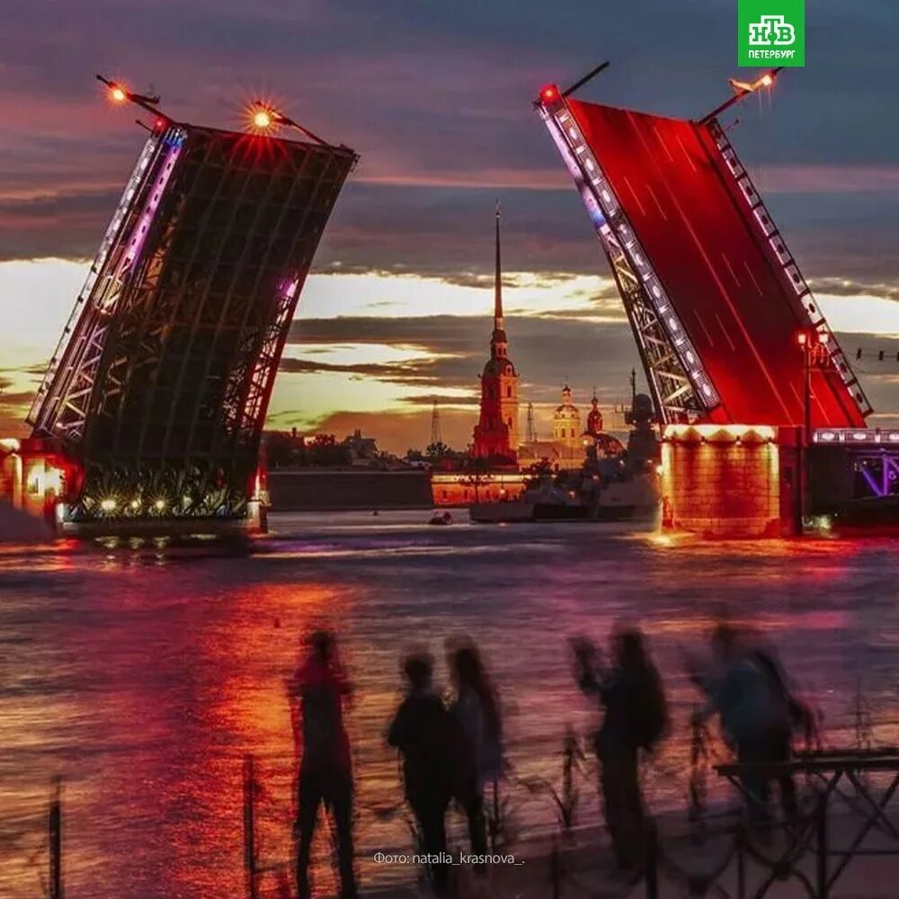 Мост белые ночи. Дворцовый мост в санкт-петербурге. дворцовый мост и петропавловская крепость. белые ночи в санкт-петербурге дворцовый мост. дворцовый мост в санкт-петербурге развод.
