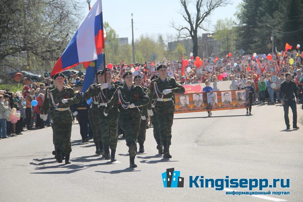 Кингисепп 9 мая 2025 программа. Кингисепп 9 мая 2025. 9 мая в кингисеппе и ивангороде 2025. кингисепп парад 2008 2009 9 мая. кингисепп парад 2007 2008.