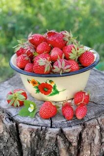 Вкус лета ягоды