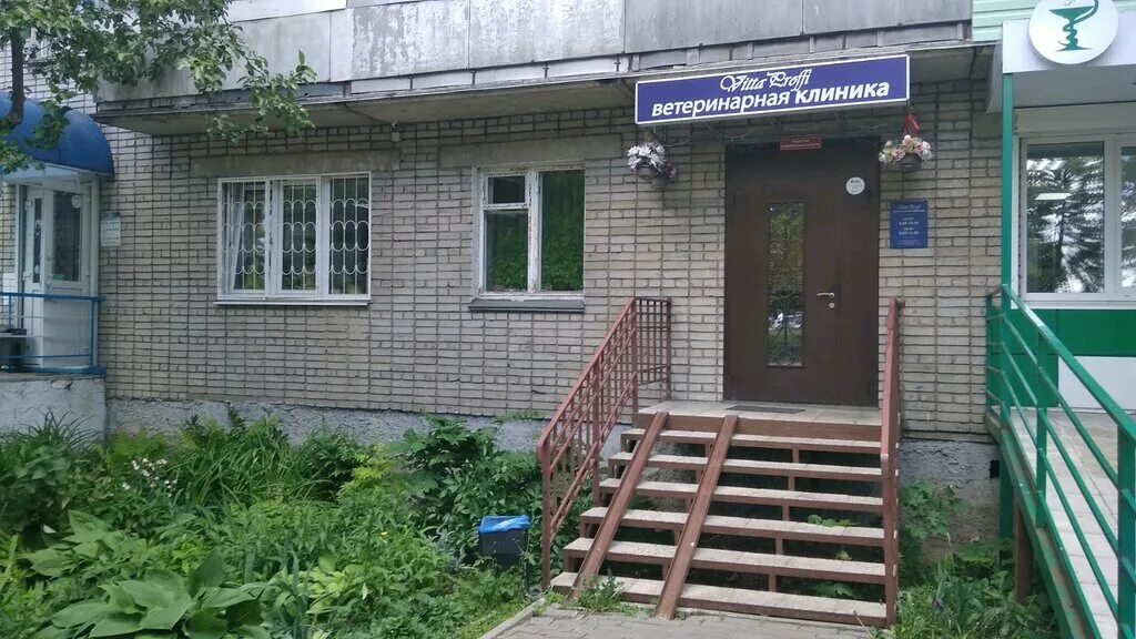 Ветклиника айболит. Преимущества ветклиники. Ветеринарная клиника на суздальской 42. Академсервис казань проспект победы 226а. Ветеринар нефтекамск.