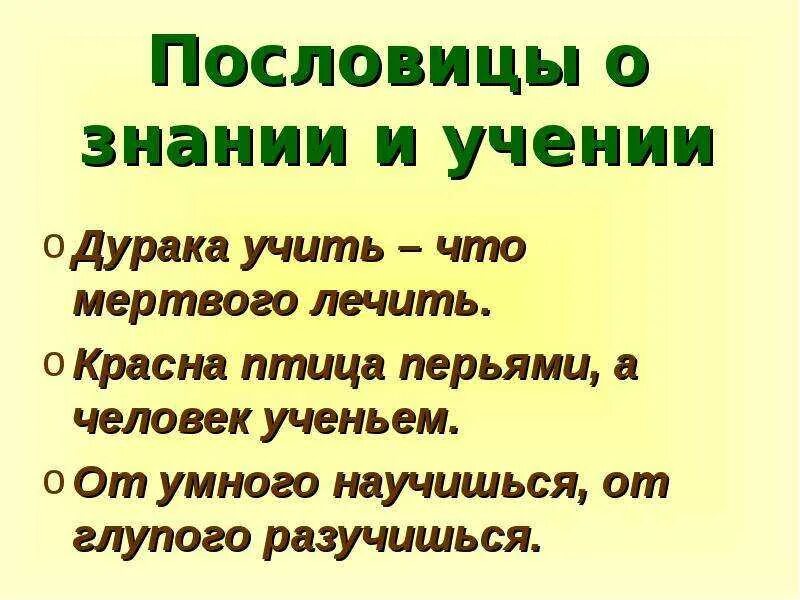 Поговорка пол. Пословицы о знаниях. Пословицы о знаниях и учении. Поговорки об учении. Поговорки о знаниях.