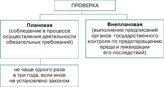 Плановые и внеплановые ревизии. Виды внеплановых проверок. Плановый и внеплановый контроль. Вид деятельности ревизии.