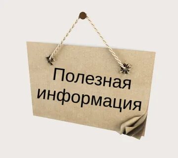 Предлагаем ознакомиться с основными