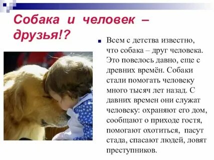 Мини сочинение собаки лучшие друзья людей