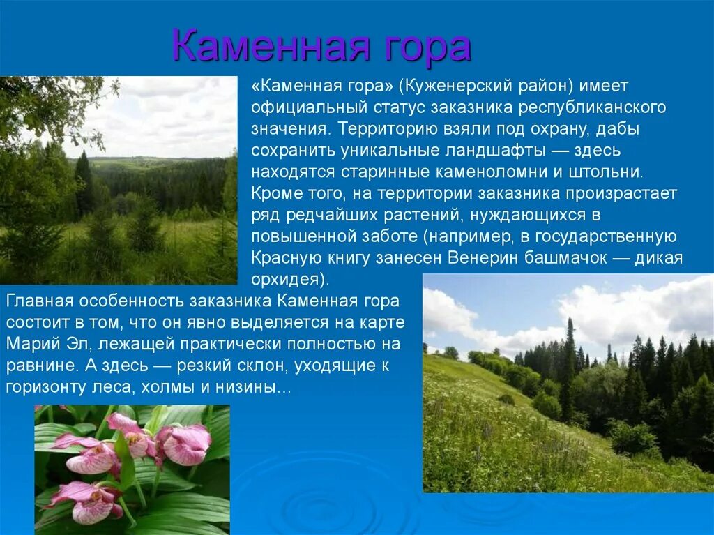 Богатство марий эл. Природные богатства Республики Марий Эл. Природный заказник каменная гора Марий Эл. Природные памятники Марий Эл. Республика Марий Эл презентация.