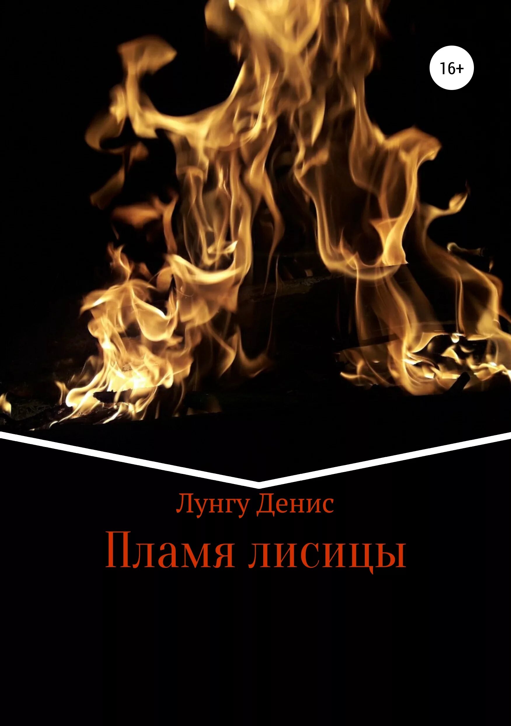 Женщина в огне книга. Книга пламя. Книга с огнем. Огонь и пламя книга. Пламя пламя книга.