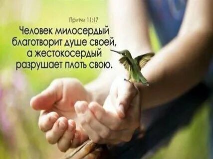 Притчи 11