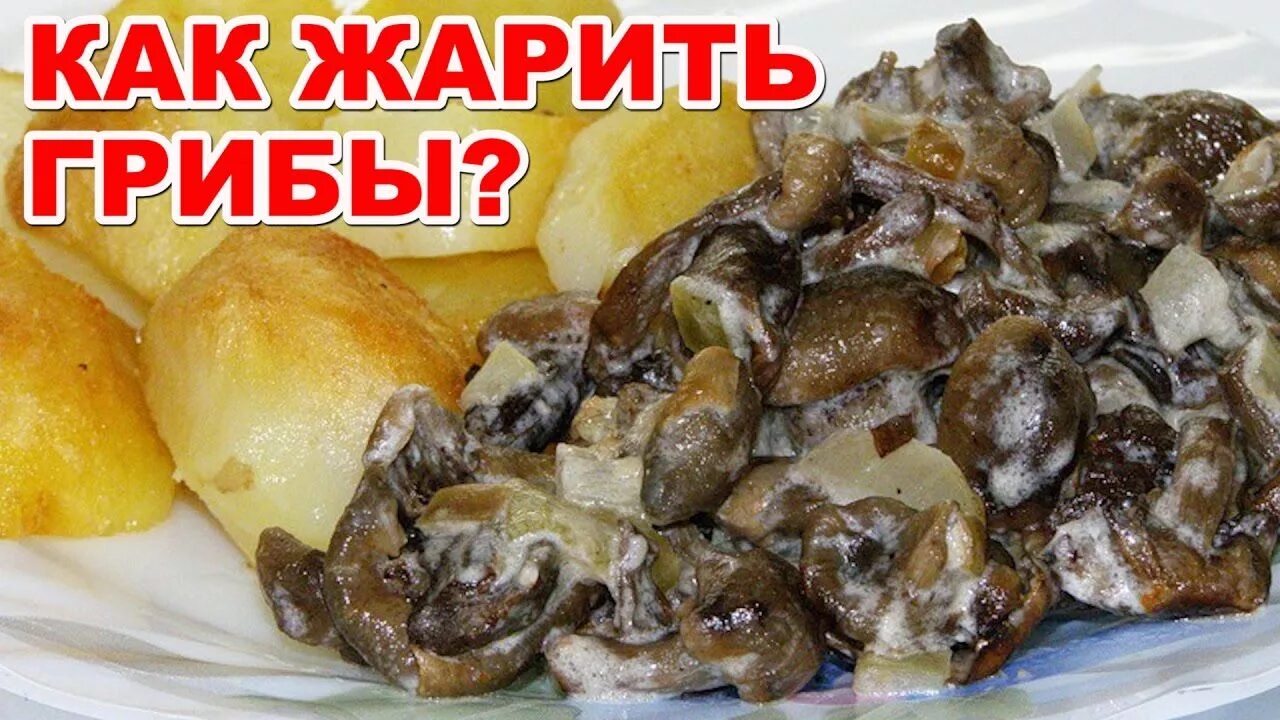 Сколько жарятся грибы. Грибы на сковороде. Жареные грибы. Жареные грибы. Если грибы говорят не надо их жарить.