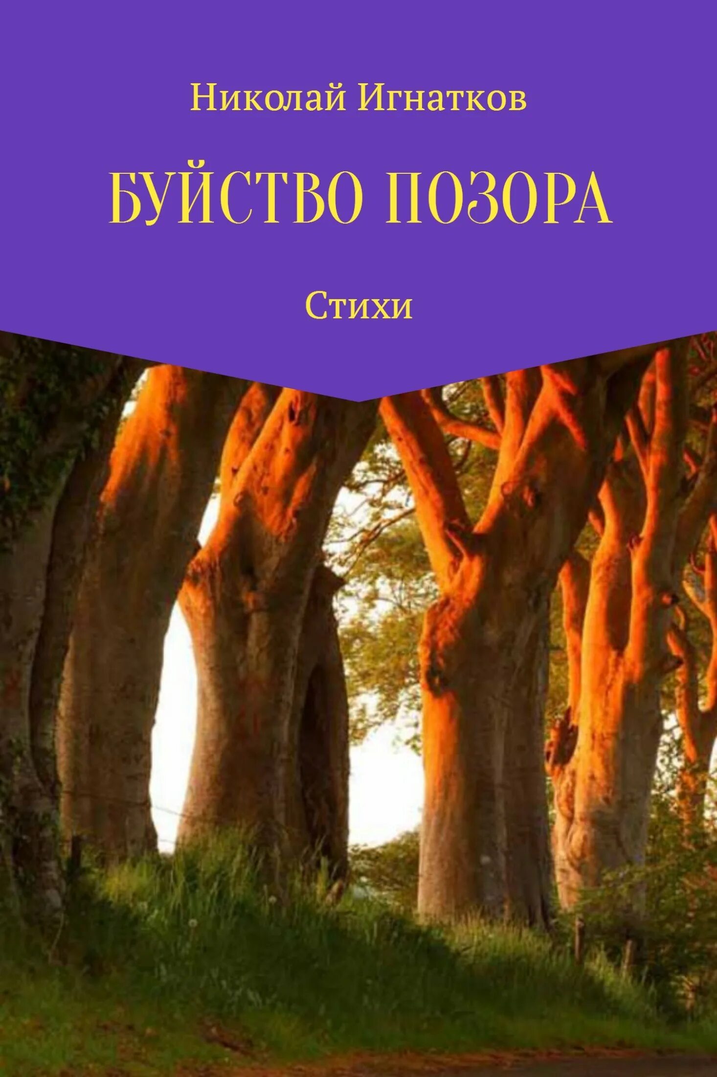 Книга позора. Игнатков Николай Викторович.