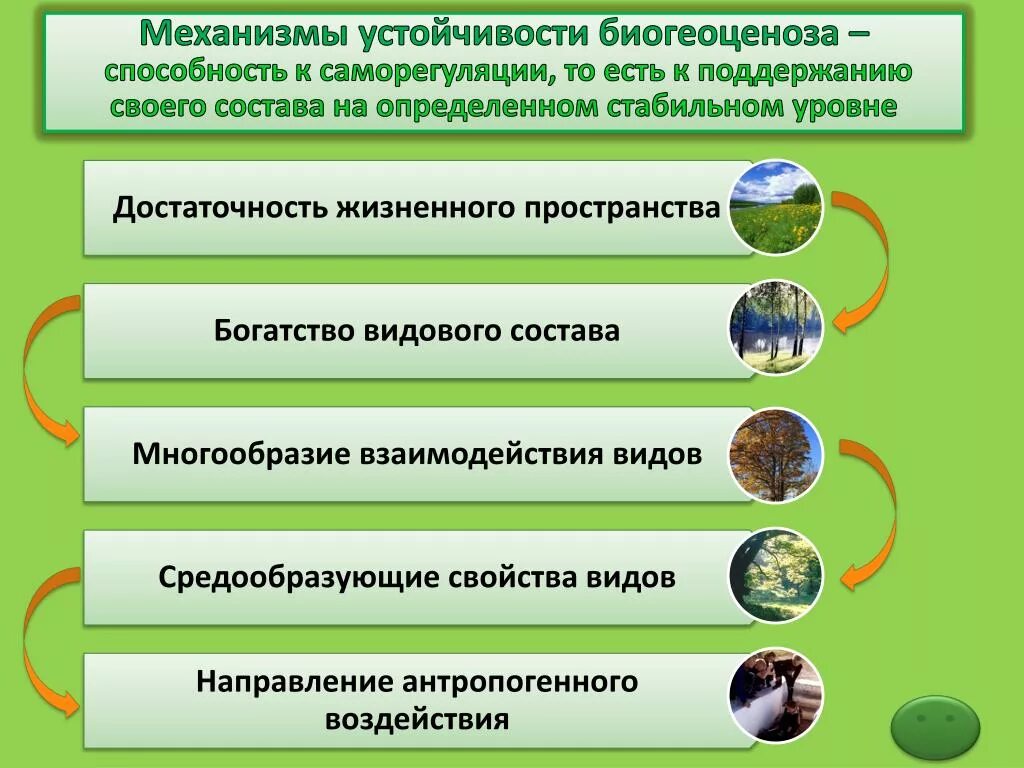 Причины устойчивости экосистем. Прияины цстойчиуости экосисг. Причина устойчивости э. Причины устойчивости биогеоценозов.