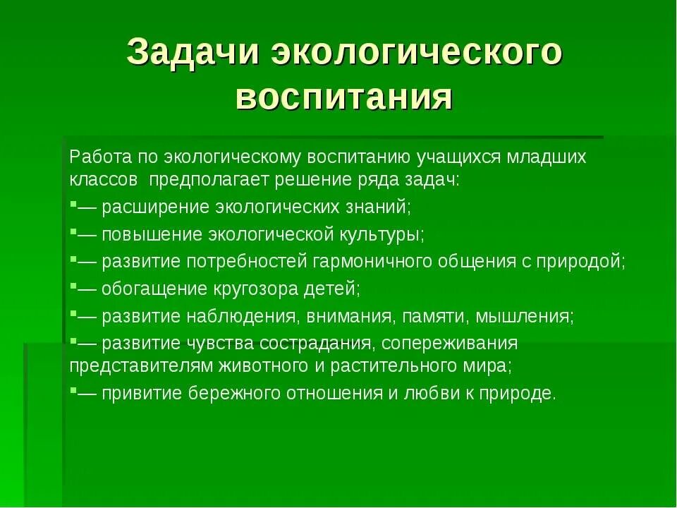 Задача экологического воспитания детей