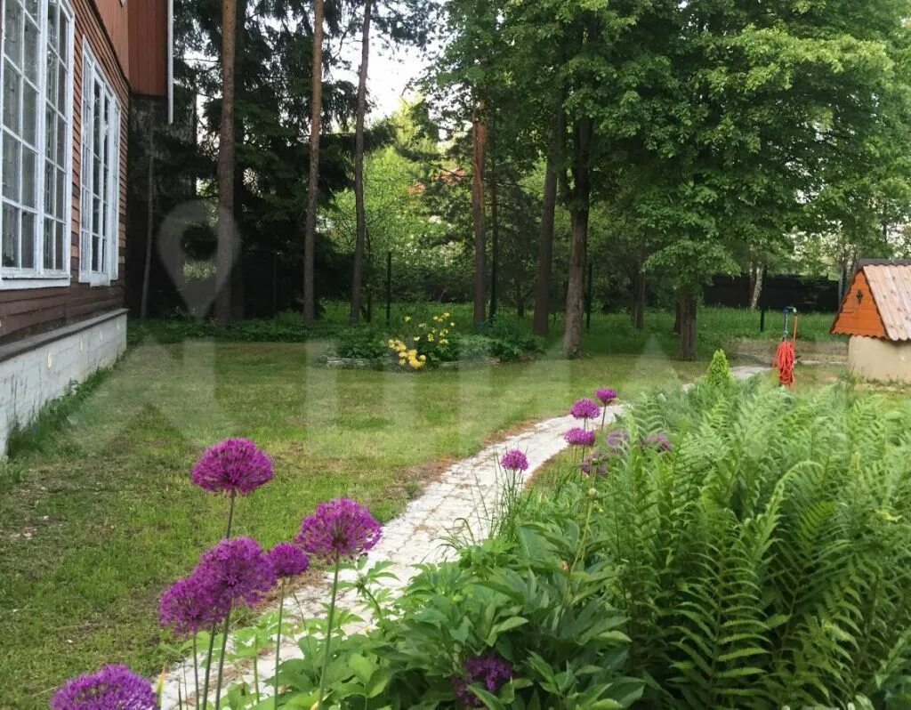 Купить дачу в москве. Снт истра-2 отделение высоково. Истра холидей отель подмосковье. Купить дачу в москве. Истра московская область.