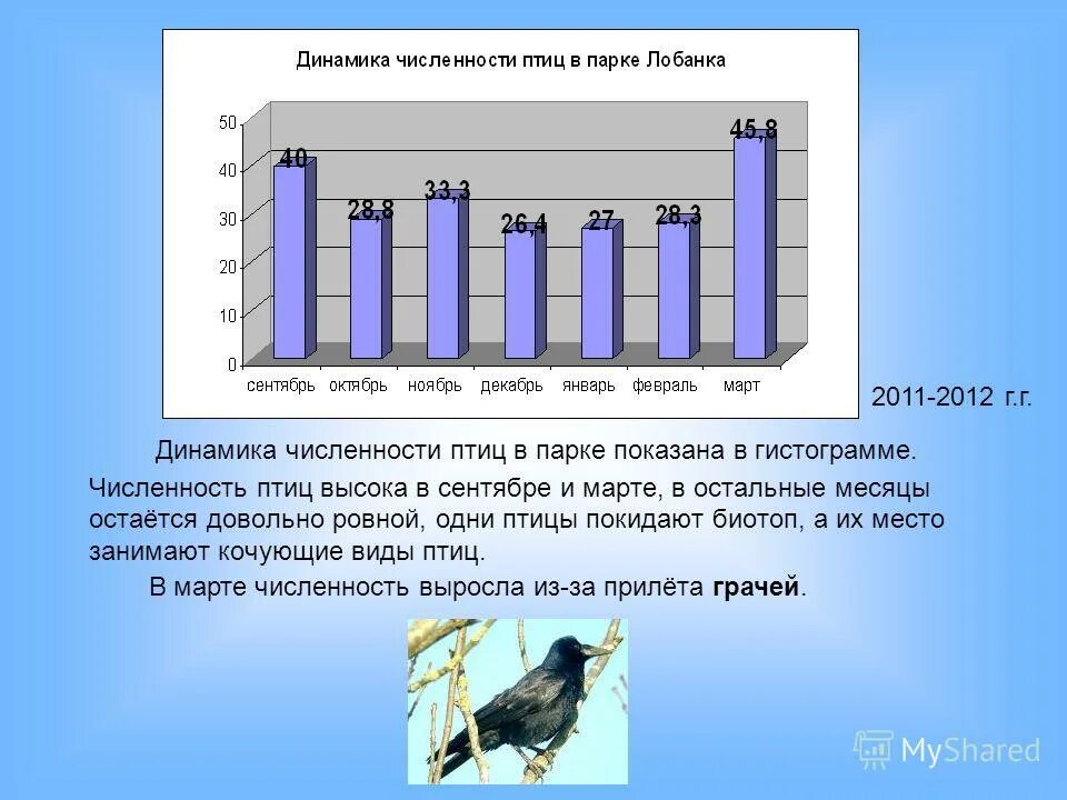 какая численность птиц. какая численность птиц. какая численность птиц. видовой состав птиц. сколько было птиц в 2018.