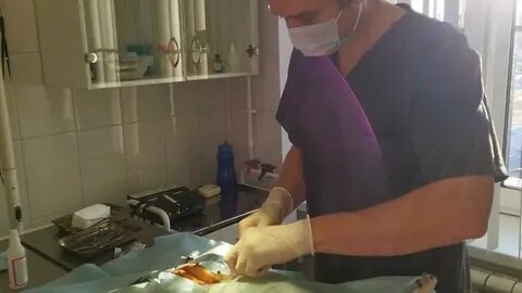 Операция удаление камней из мочевого