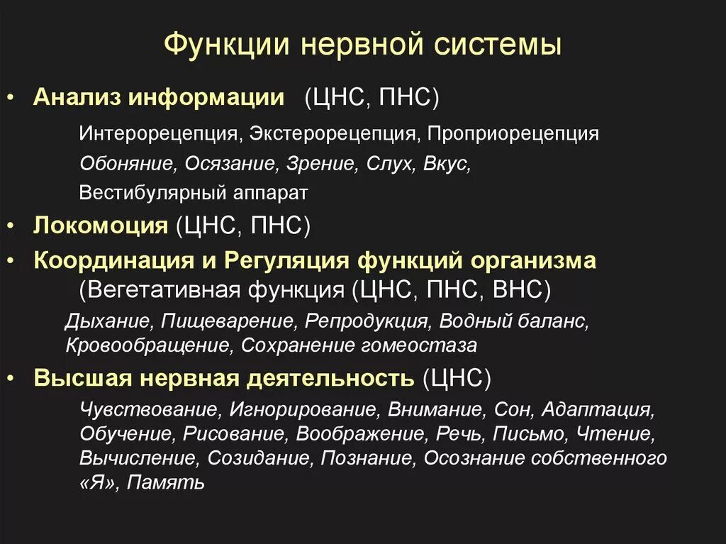 Анализы цнс. Функции нервной системы. Функции ервнойсистемы. Функции не-вной системы. Функции нервной систием.