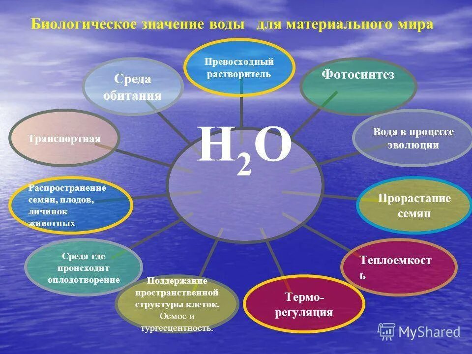 Вода биология 10. Значение воды. Значение воды в природе и жизни человека. Биологическая роль воды. Важность воды в природе.