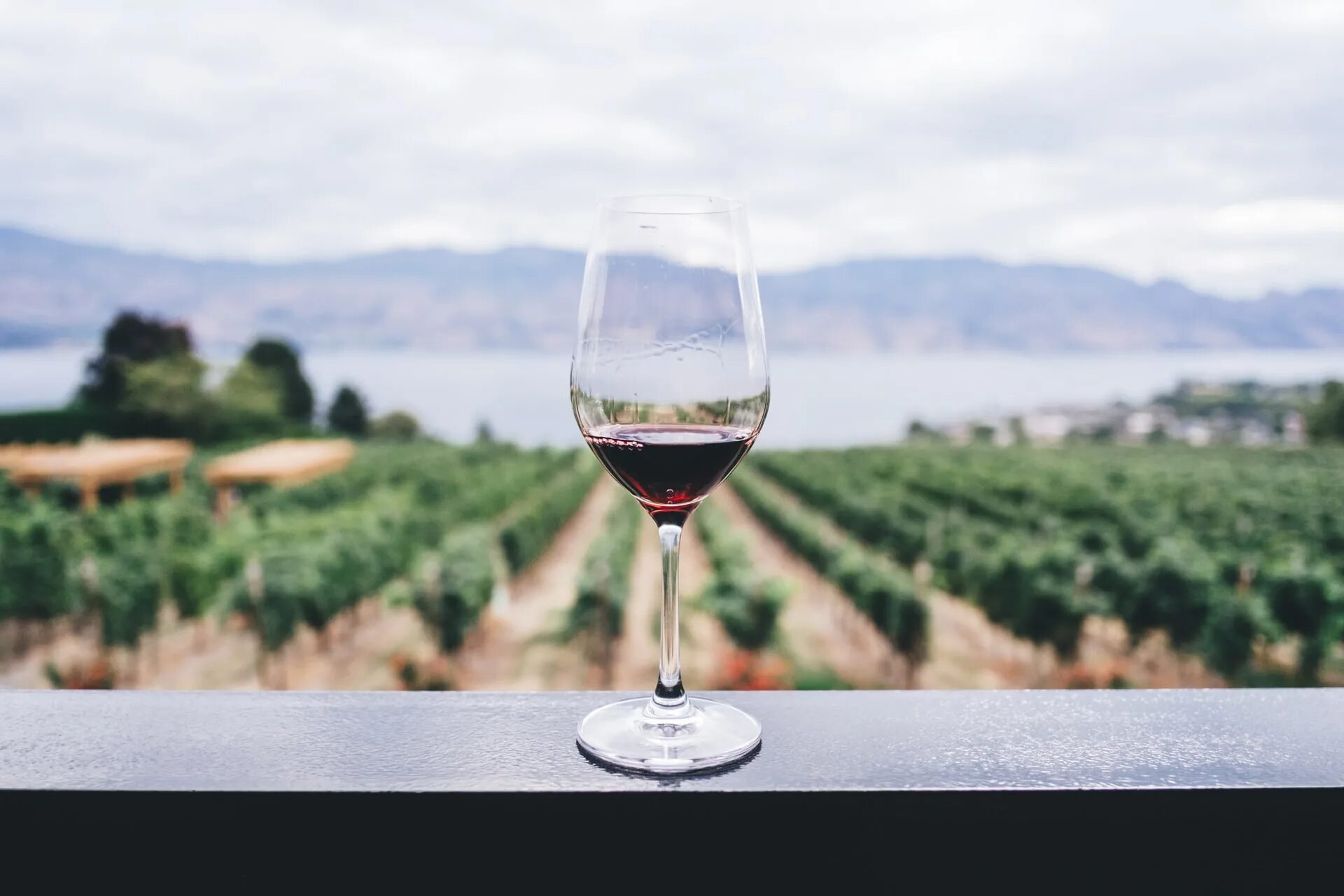 Легендарные вина. Грузия горы красное вино. Бокал вина. Бокал вина на природе. Бокал красного вина.