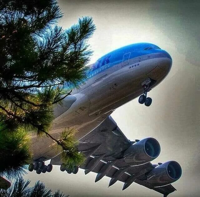 Airbus a380. Самолет в облаках. Самолет в грозу. Аэробус а380 в небе. Видеть во сне много самолетов в небе.