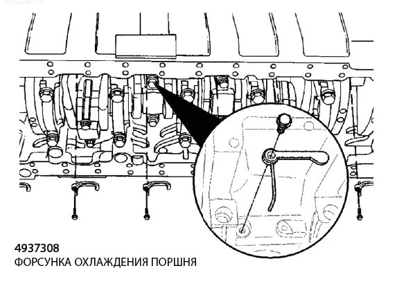 Момент затяжки cummins 2 и 8. Момент затяжки форсунки охлаждения поршня камаз. 4937308 форсунка охлаждения поршня. форсунки охлаждения поршней камаз. форсунка охлаждения поршня камаз 740 момент затяжки.