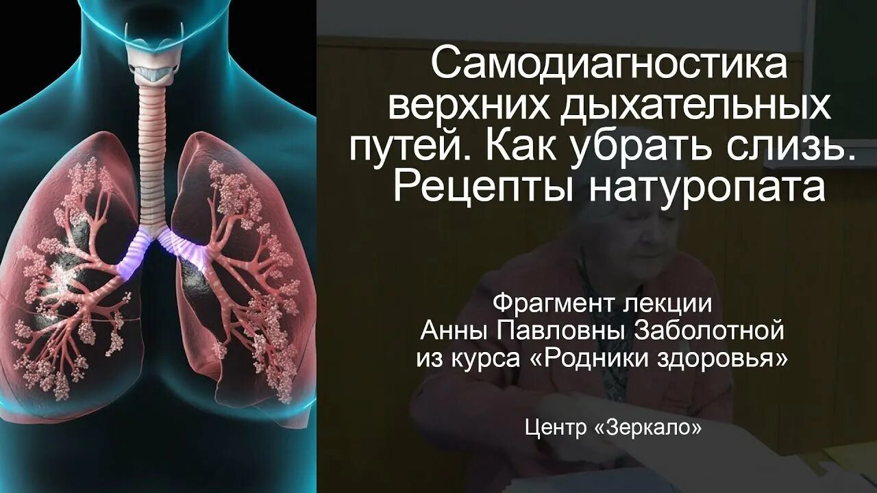 Как почистить мокроту. Бронхи таблетки. Средство для очищения бронхов и легких.