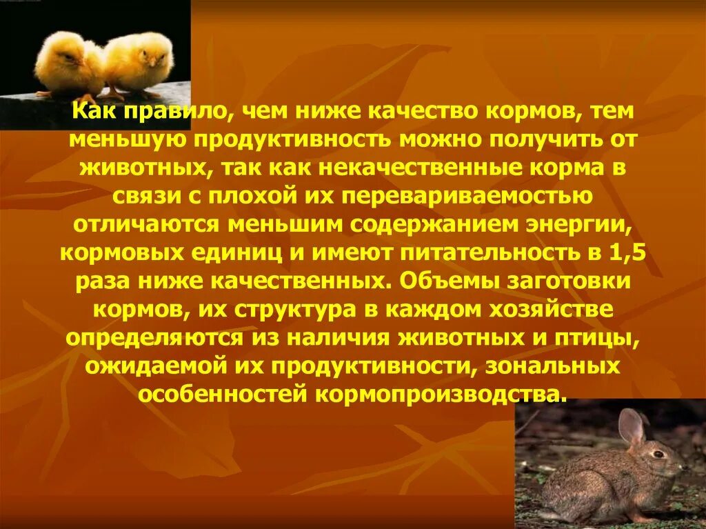 Методы оценки энергетической питательности кормов. Чему равна одна кормовая единица. Корм определение. Корм определение. Корм определение.